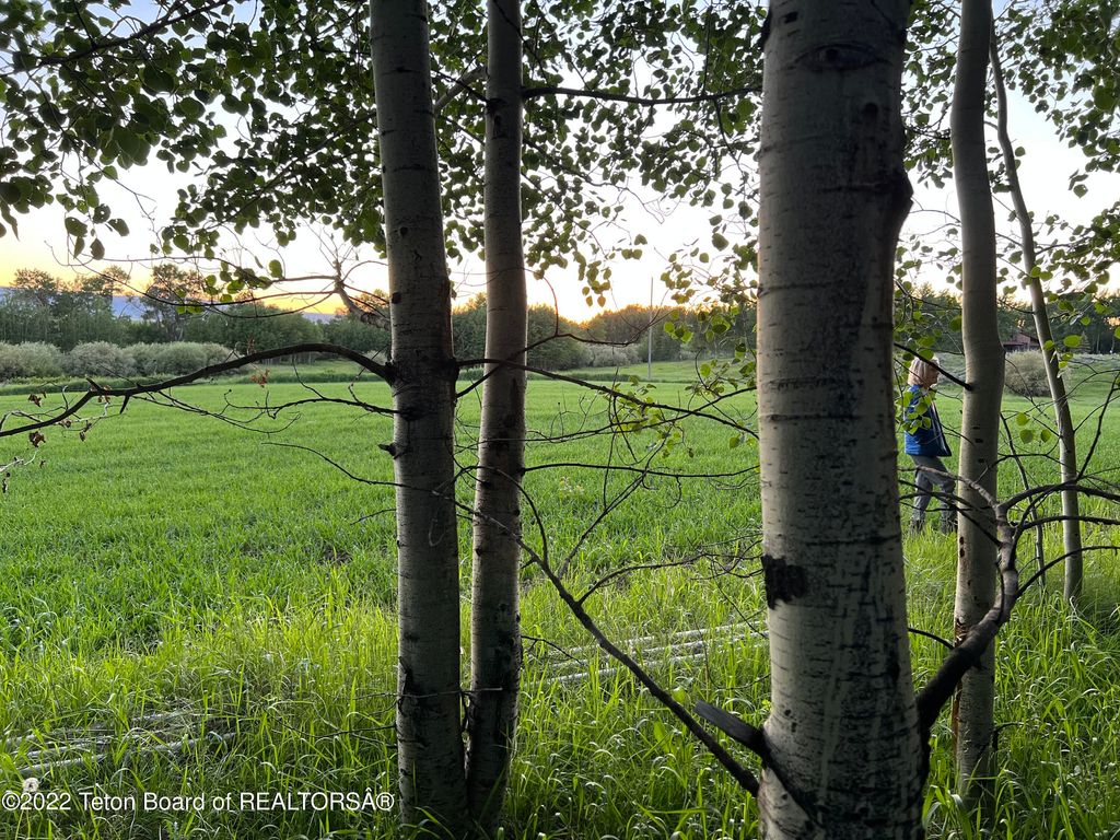 N ALTA Road, Alta, WY 83414 photo 8