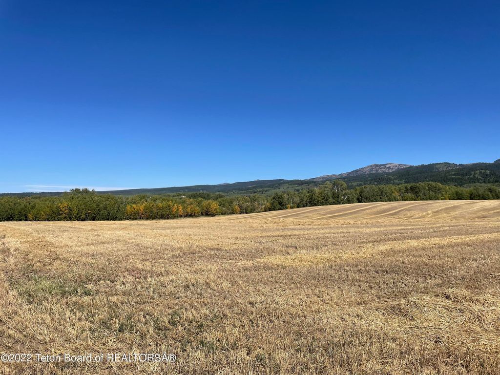 N ALTA Road, Alta, WY 83414 photo 80