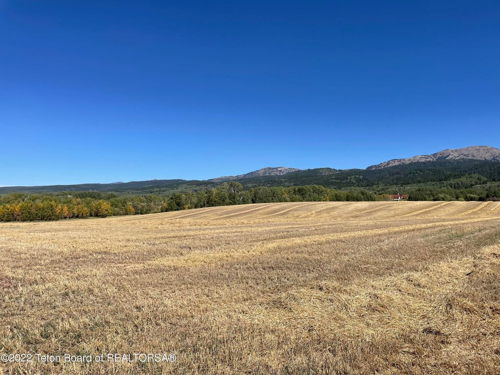 N ALTA Road, Alta, WY 83414 photo 82