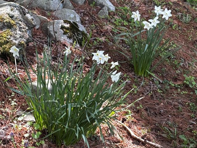 17 Woodland Drive, Walden, NY 12586