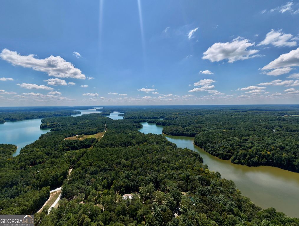 LOT 1 Gregg Shoals Drive, Elberton, GA 30635 — photo 3