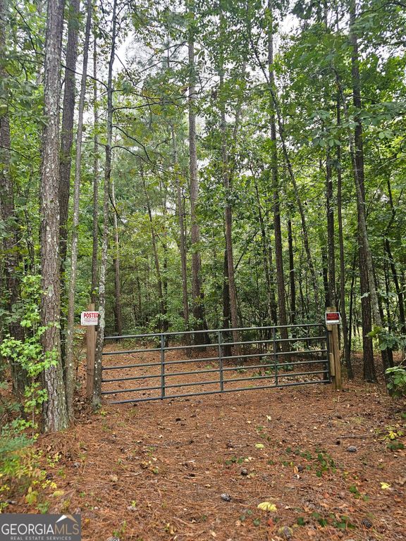 LOT 1 Gregg Shoals Drive, Elberton, GA 30635 — photo 4