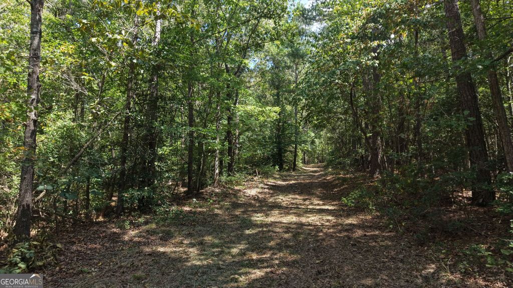 LOT 1 Gregg Shoals Drive, Elberton, GA 30635 — photo 5