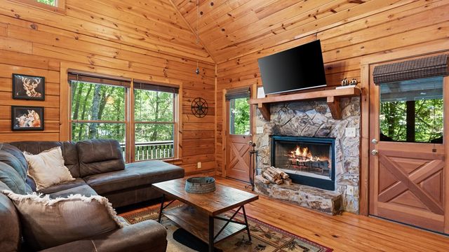 360 Black Dog Trail, Morganton, GA 30560