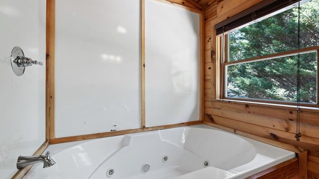 360 Black Dog Trail, Morganton, GA 30560