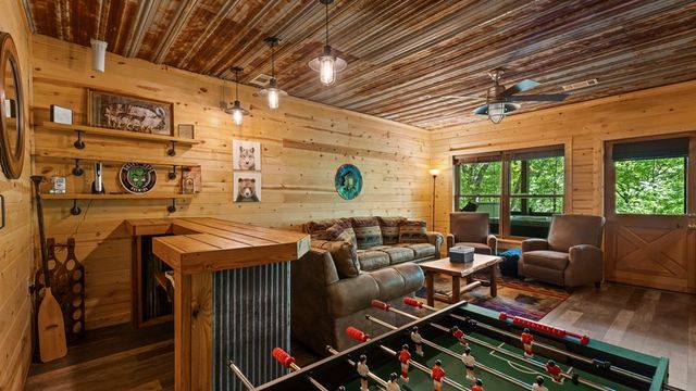 360 Black Dog Trail, Morganton, GA 30560