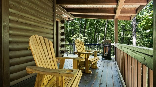 360 Black Dog Trail, Morganton, GA 30560