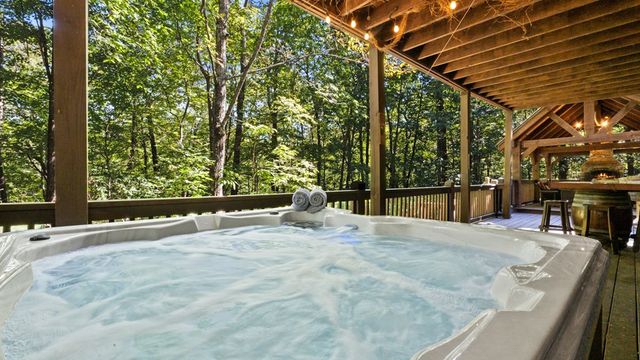360 Black Dog Trail, Morganton, GA 30560