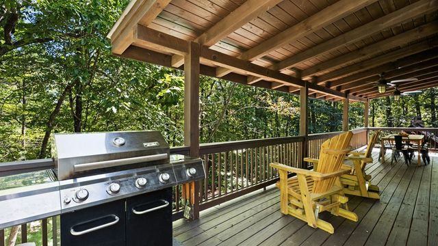 360 Black Dog Trail, Morganton, GA 30560