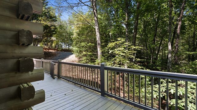 360 Black Dog Trail, Morganton, GA 30560