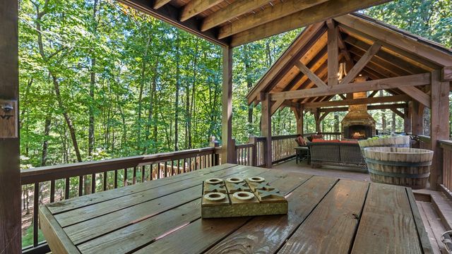 360 Black Dog Trail, Morganton, GA 30560