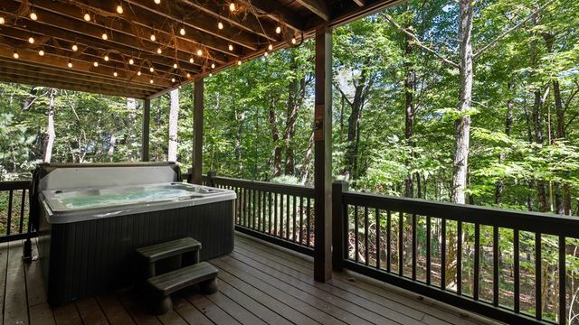 360 Black Dog Trail, Morganton, GA 30560