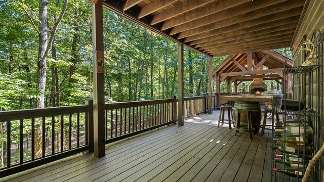 360 Black Dog Trail, Morganton, GA 30560