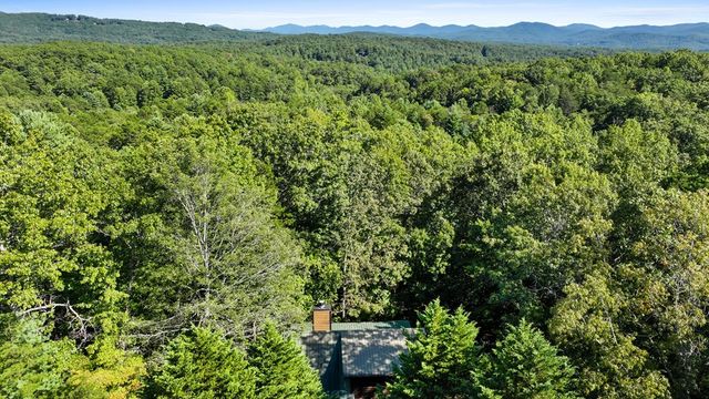 360 Black Dog Trail, Morganton, GA 30560