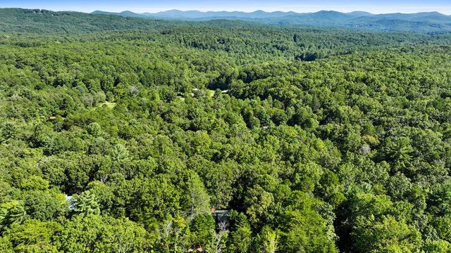 360 Black Dog Trail, Morganton, GA 30560