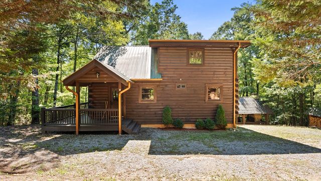 360 Black Dog Trail, Morganton, GA 30560