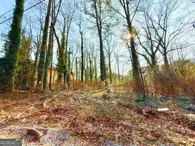 2174 Wilson Avenue N, Atlanta, GA 30314