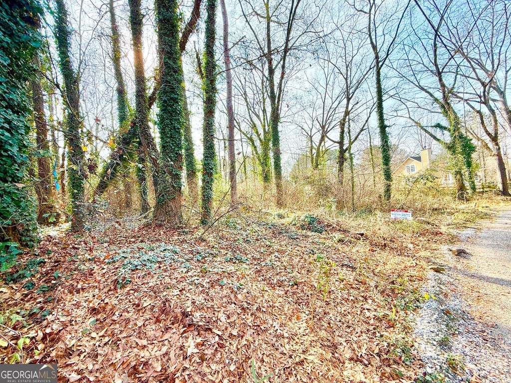 2174 Wilson Avenue N, Atlanta, GA 30314