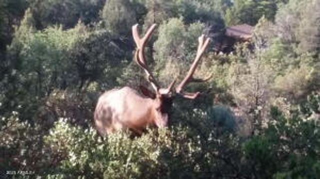 1201 W CHATHAM Drive, Payson, AZ 85541