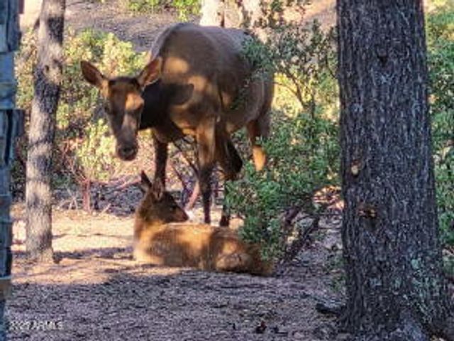 1201 W CHATHAM Drive, Payson, AZ 85541