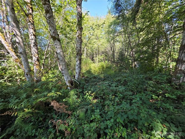 0 Cedar Place, Elma, WA 98541