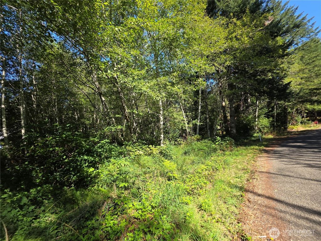 0 Cedar Place, Elma, WA 98541