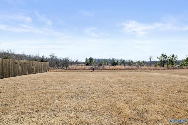 25251 Evanford Drive, Athens, AL 35613