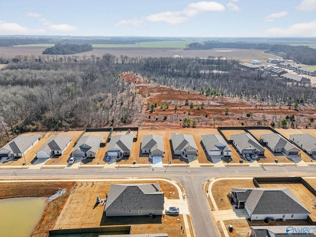 25251 Evanford Drive, Athens, AL 35613