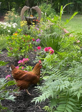 5549 Laurel Avenue, La Grange Highlands, IL 60525