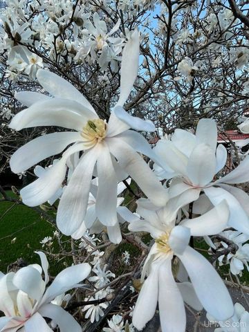 N5686 Jarvinen Road, Eben Junction, MI 49825