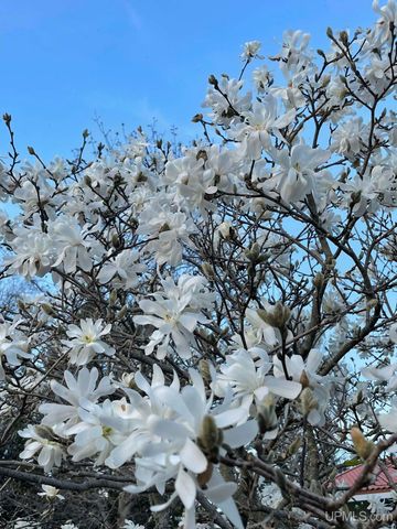 N5686 Jarvinen Road, Eben Junction, MI 49825