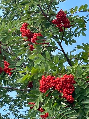 N5686 Jarvinen Road, Eben Junction, MI 49825