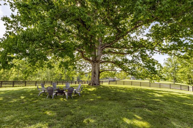 8137 Shoals Branch Rd, Primm Springs, TN 38476
