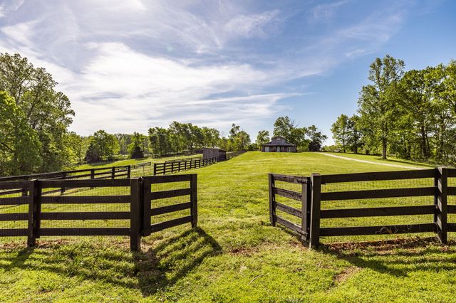 8137 Shoals Branch Rd, Primm Springs, TN 38476