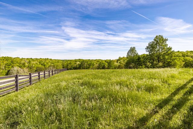 8137 Shoals Branch Rd, Primm Springs, TN 38476