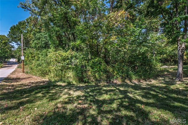 4291 Lakeview Drive, Hillsboro, MO 63050