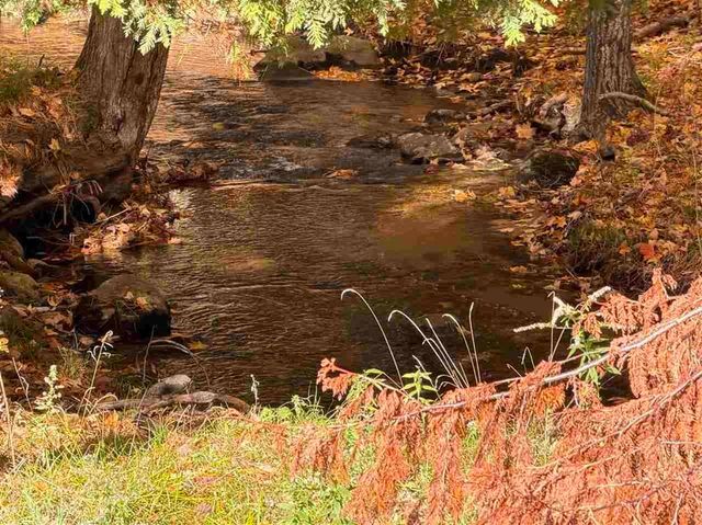 4958 Rushton Road, Central Lake Twp, MI 49622