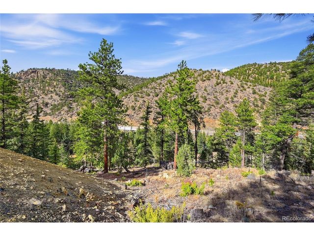 2238 Stanley Rd, Idaho Springs, CO 80452