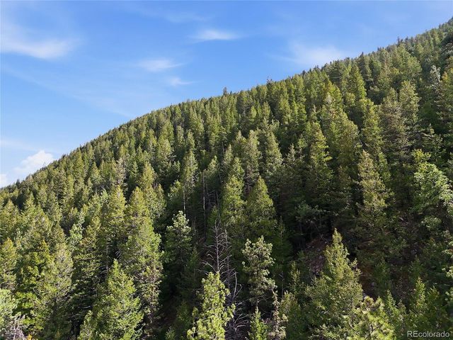 2238 Stanley Rd, Idaho Springs, CO 80452