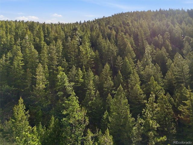 2238 Stanley Rd, Idaho Springs, CO 80452