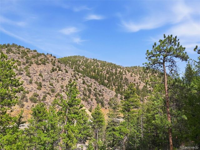 2238 Stanley Rd, Idaho Springs, CO 80452
