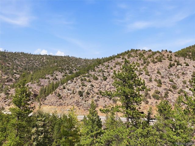 2238 Stanley Rd, Idaho Springs, CO 80452