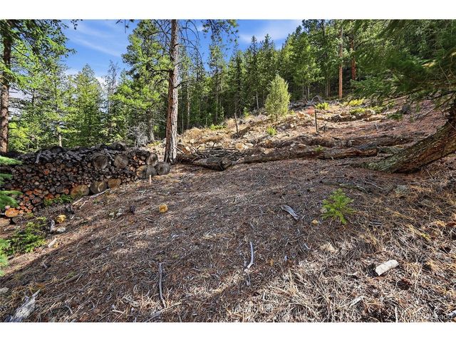2238 Stanley Rd, Idaho Springs, CO 80452