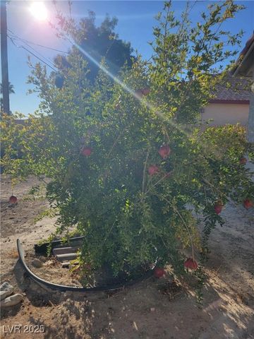 1171 Daytona Street, Pahrump, NV 89048