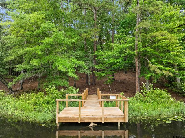 297 Bobwhite Ln, Holly Lake Ranch, TX 75765