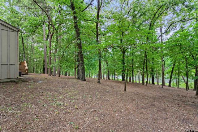 297 Bobwhite Ln, Holly Lake Ranch, TX 75765