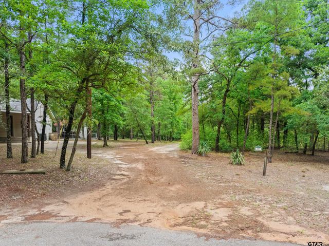 297 Bobwhite Ln, Holly Lake Ranch, TX 75765