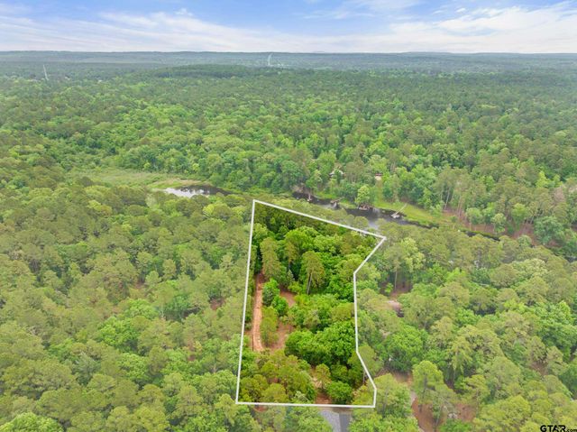 297 Bobwhite Ln, Holly Lake Ranch, TX 75765