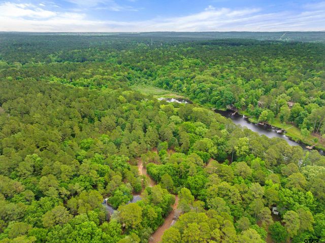 297 Bobwhite Ln, Holly Lake Ranch, TX 75765