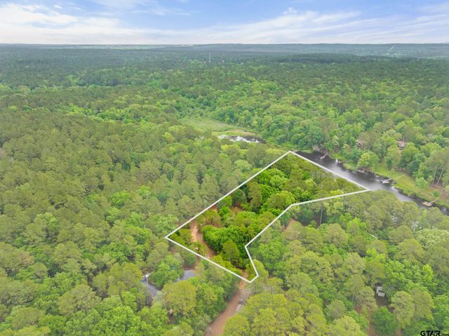 297 Bobwhite Ln, Holly Lake Ranch, TX 75765